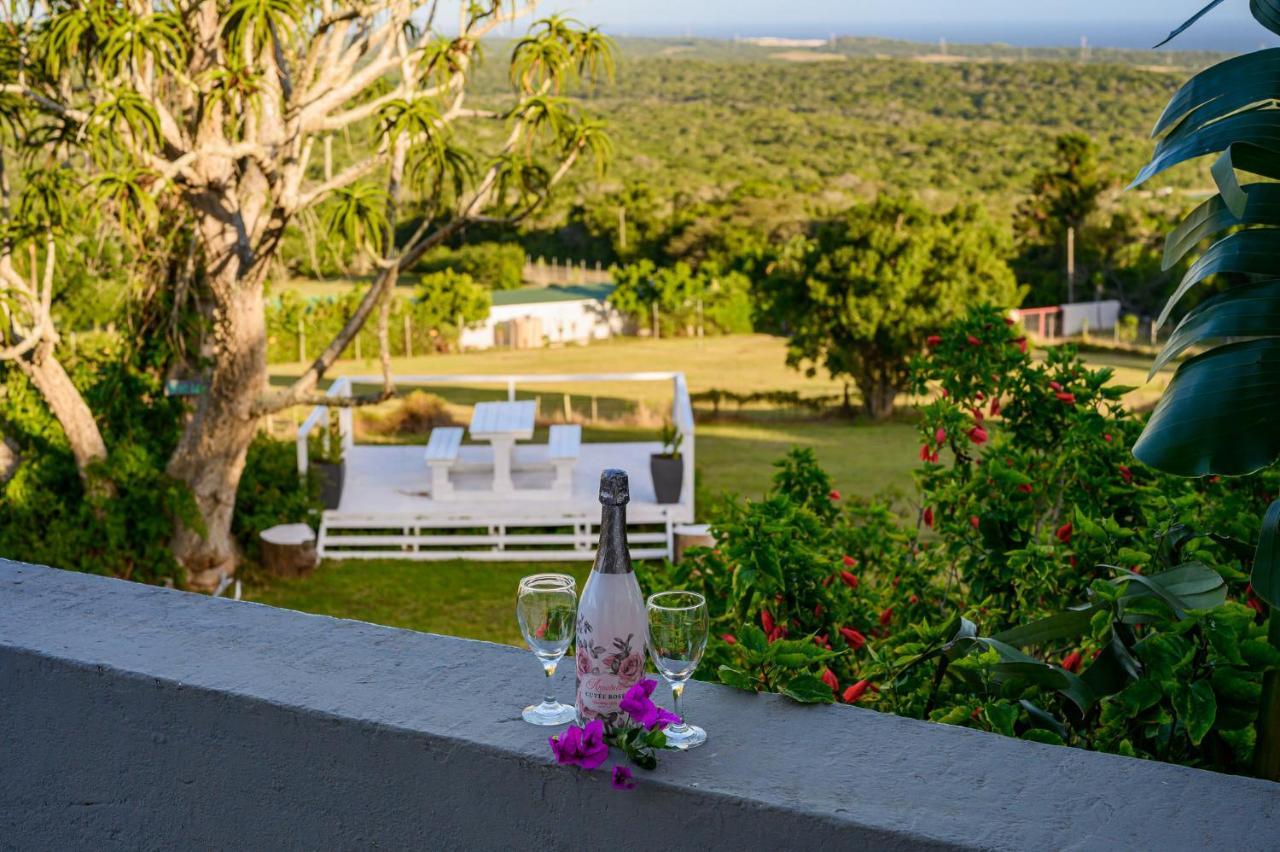 302 On Old Sea View Road Chelsea Leilighet Port Elizabeth Eksteriør bilde